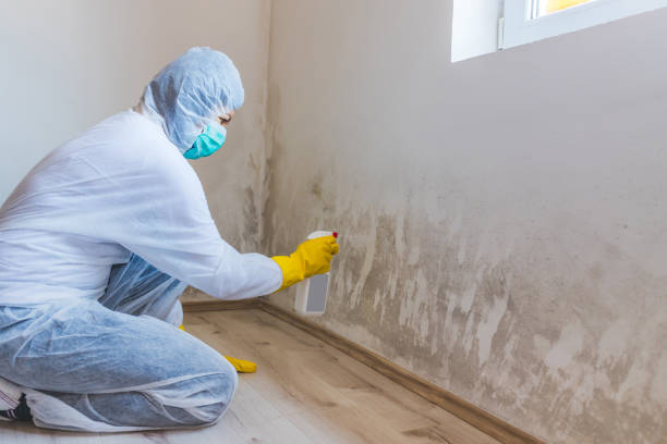 Crawl Space Mold Remediation treatment of floor joists in Dayton